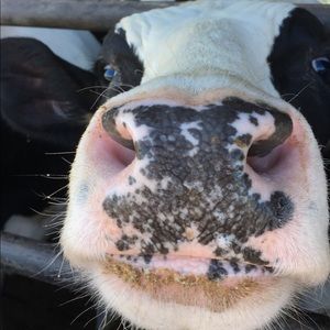 Meet your Posher, Kate